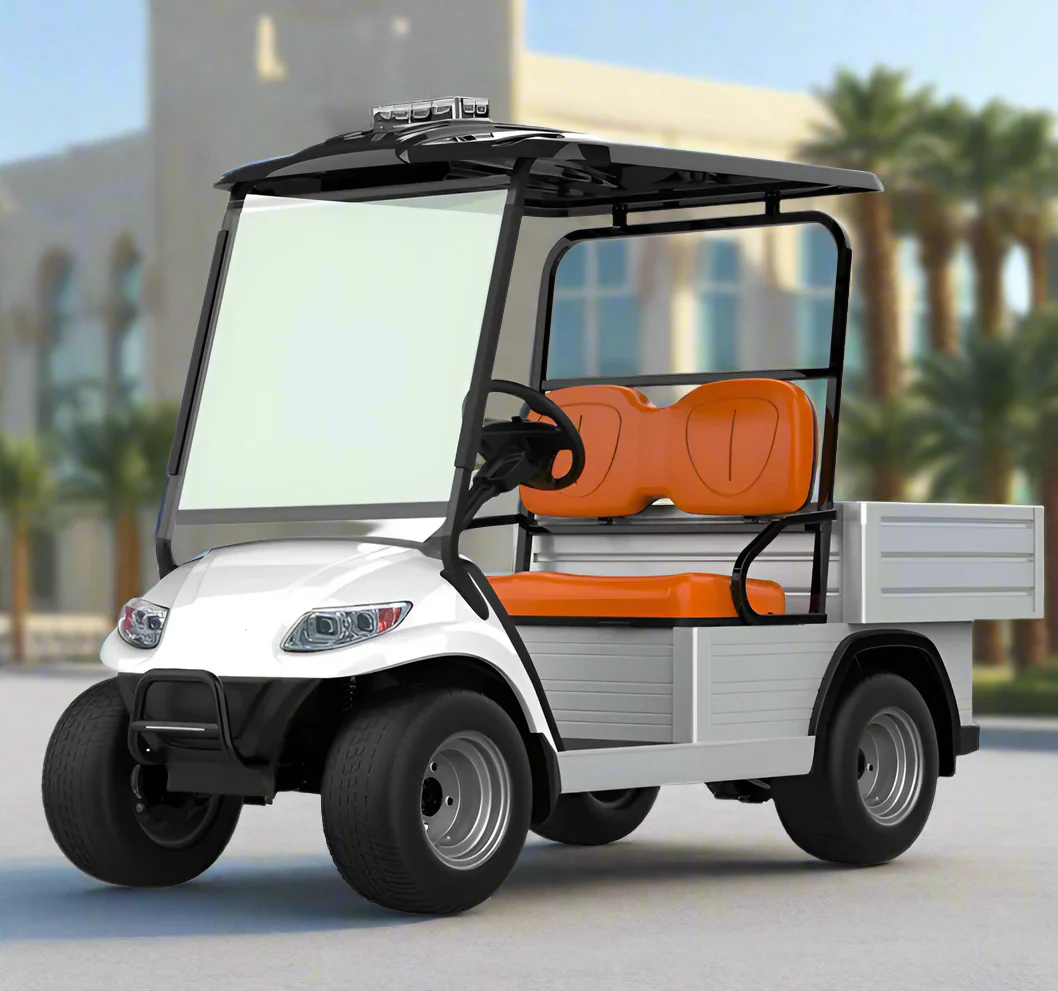 Short Utility Cargo Golf Cart -2 Seater