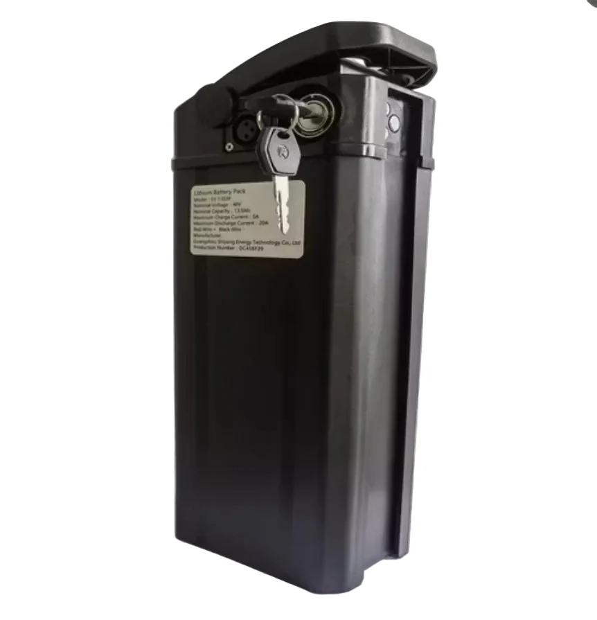 48V10Ah 13Ah EBike Removable Battery with Box and keys