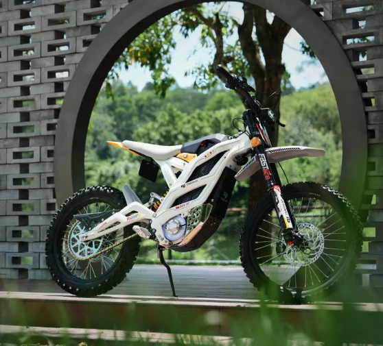79BIKE Falcon GT Electric Dirt Bike - Image 10