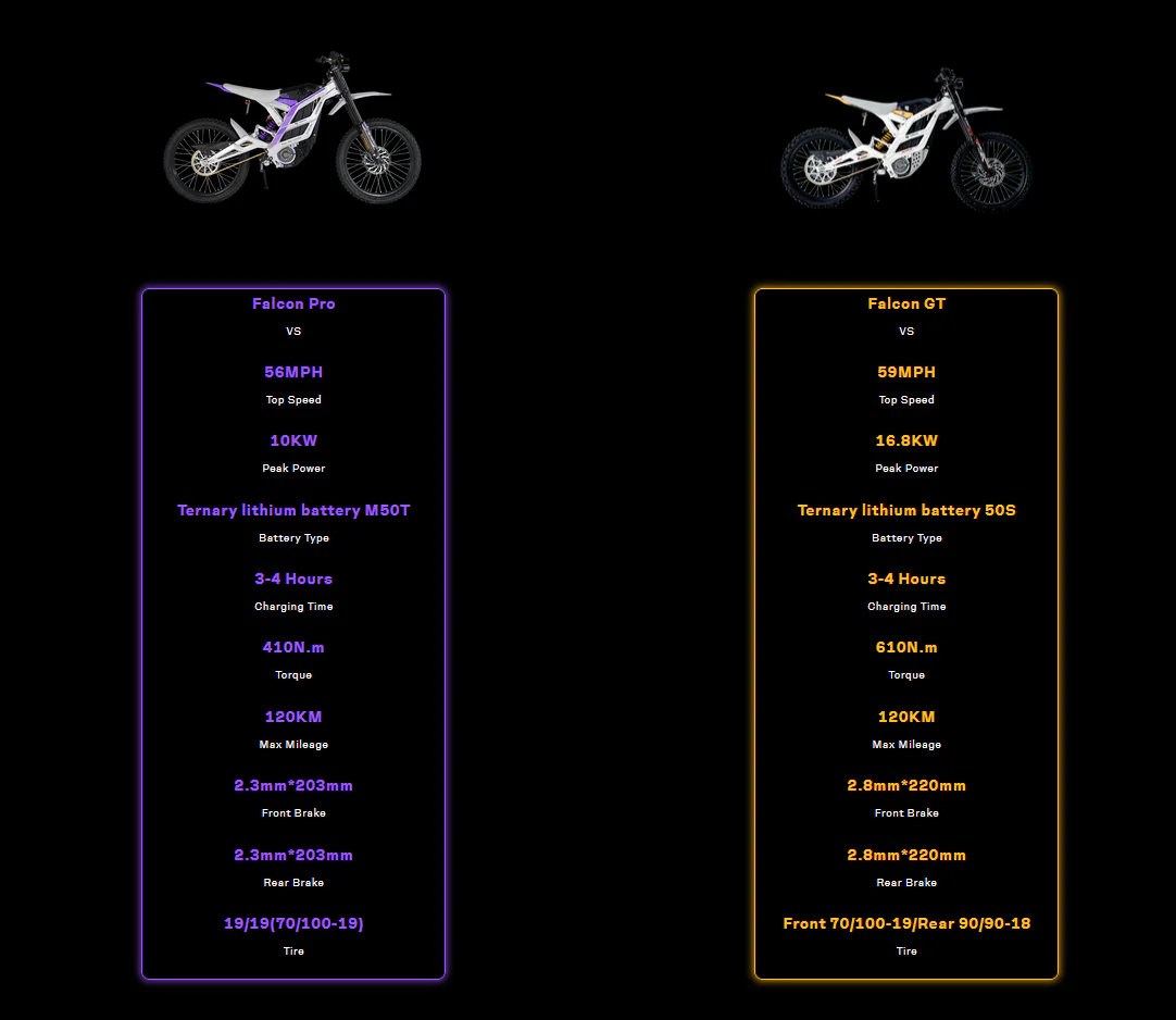 79BIKE Falcon GT Electric Dirt Bike - Image 13