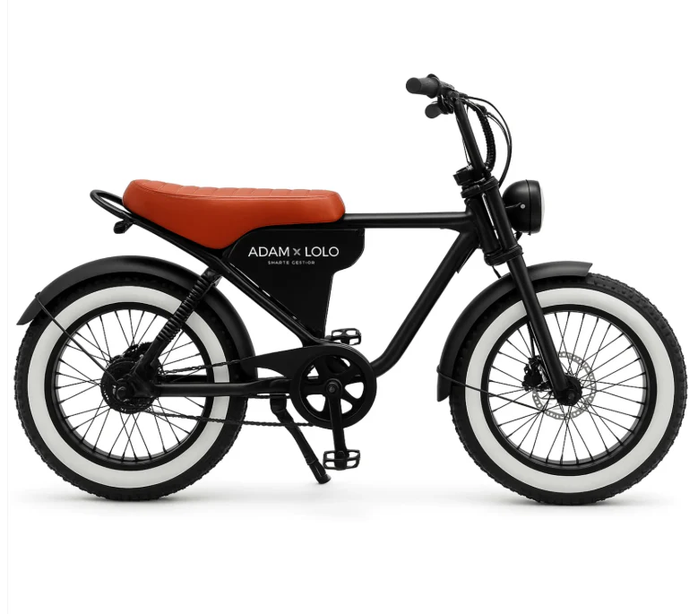 Adam Retro Fat Electric Bike 48V 14.5Ah 500W - Image 3