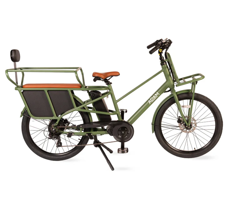 Adams Family and utility long tail E bike
