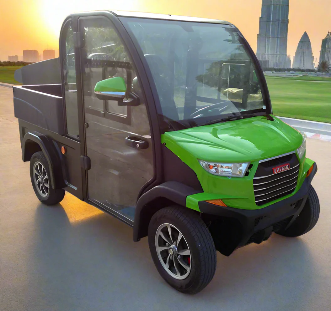 Air Conditioned Cargo Golf cart 2 Seater 2025 new - Image 3