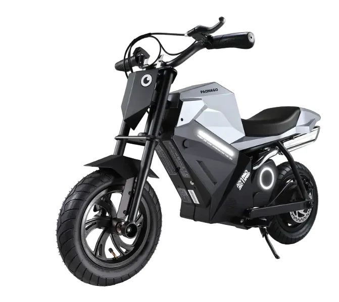 APTUM ADV250 Electric Kids Motorcycle Age 8-14 years