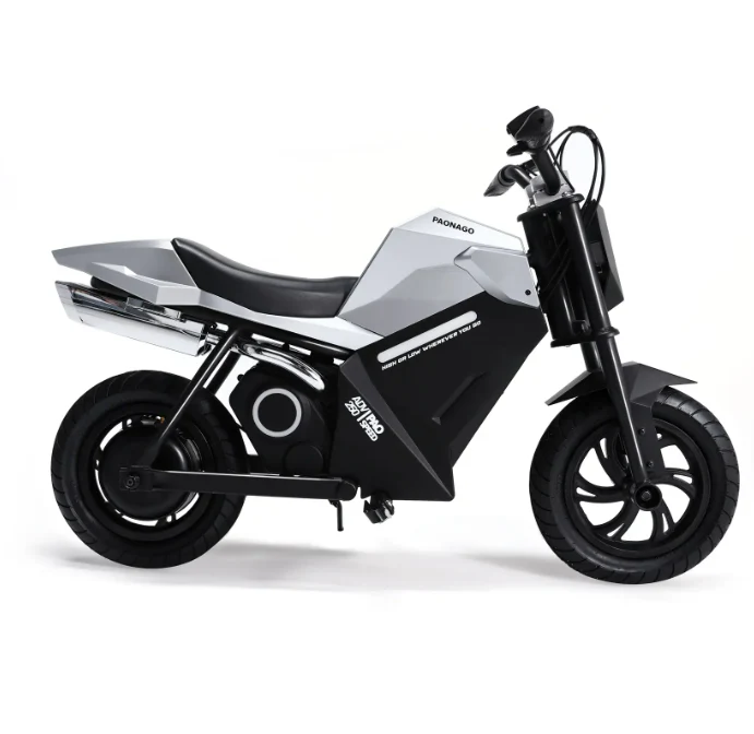 APTUM ADV250 Electric Kids Motorcycle Age 8-14 years - Image 2