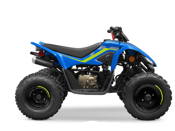 C-Force ATV 110CC Gasoline For Teens Age 8-12