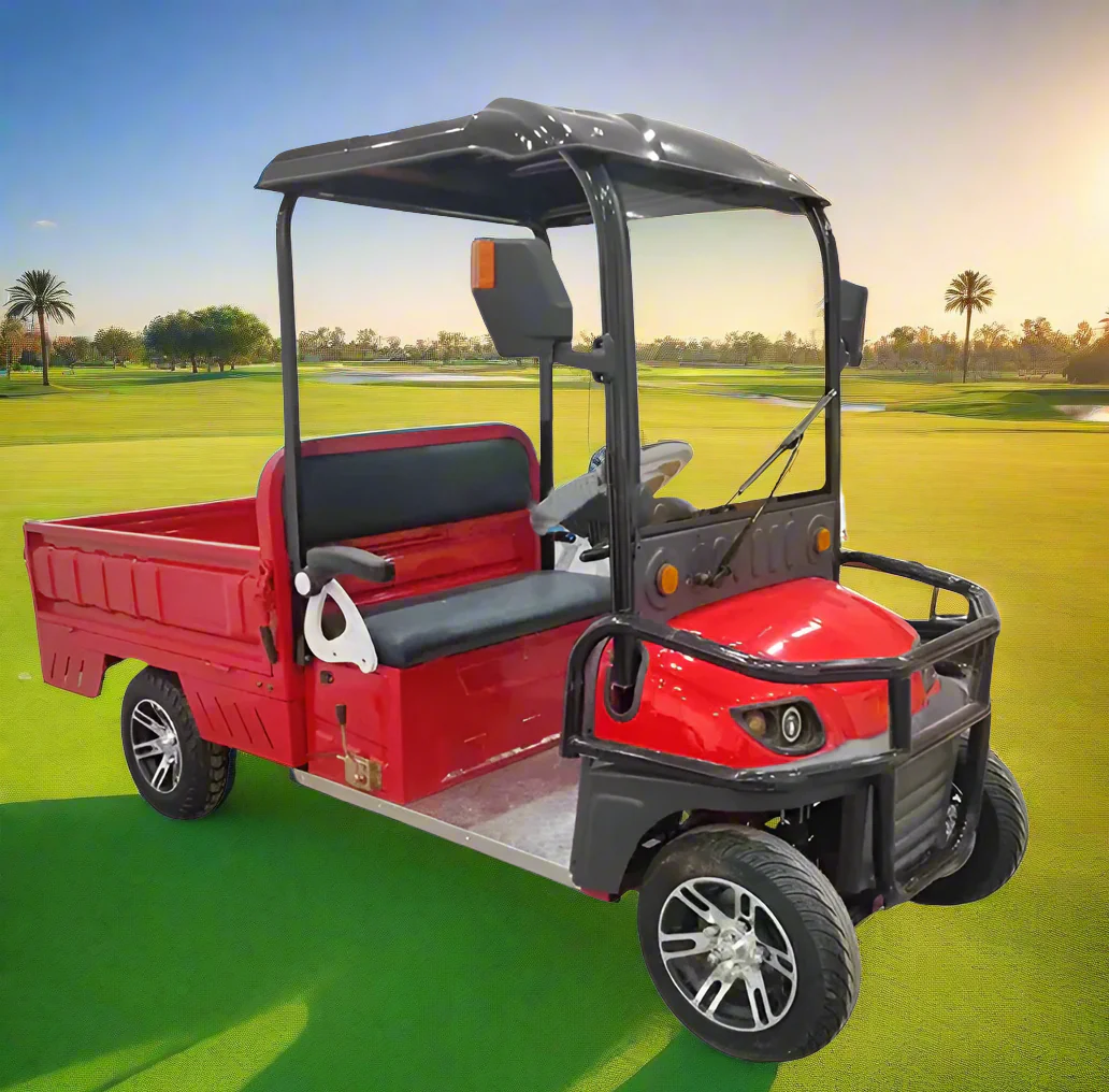 Electric Golf Cart 02 Seater with Long Cargo Utility Box - Image 3