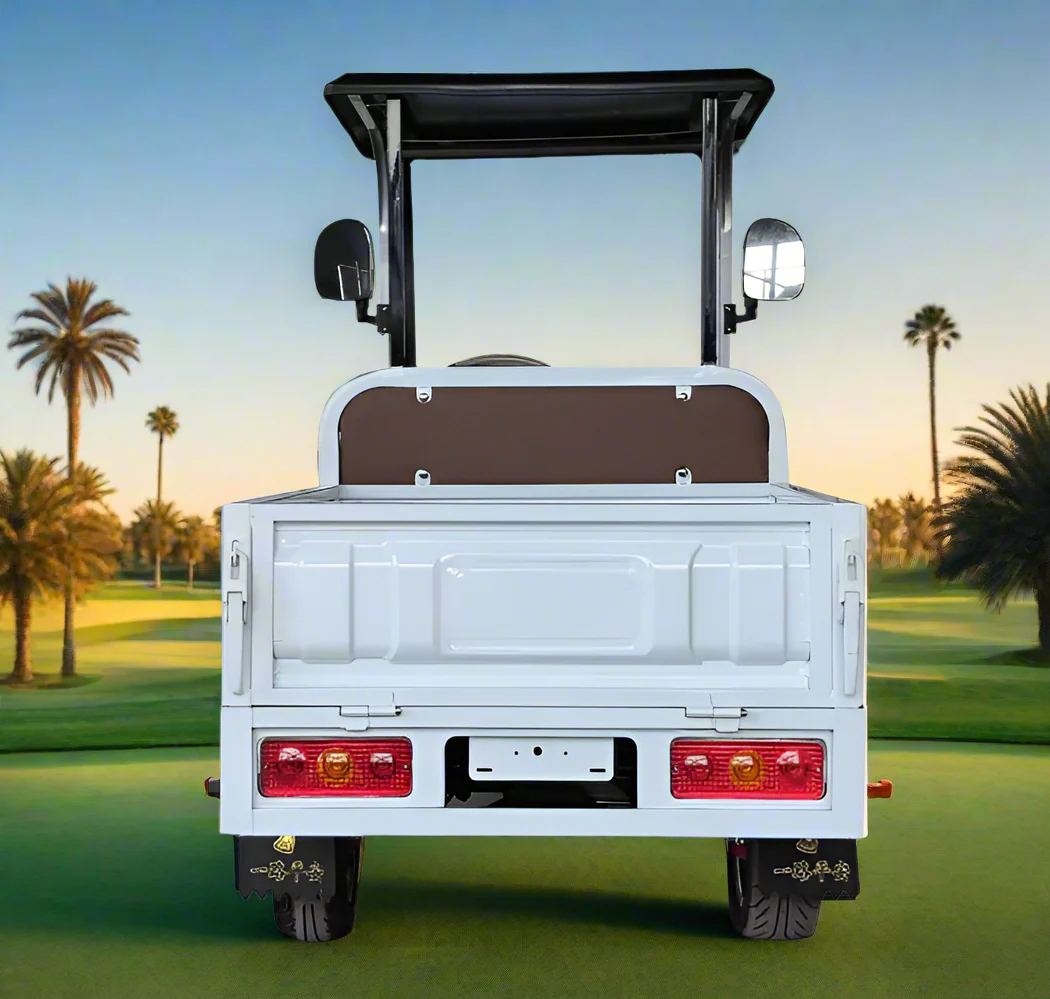 Electric Golf Cart 02 Seater with Long Cargo Utility Box - Image 7