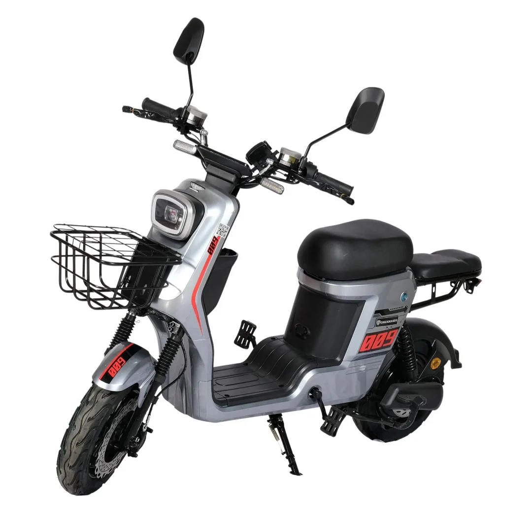 Stylish & Compact City Electric Bike