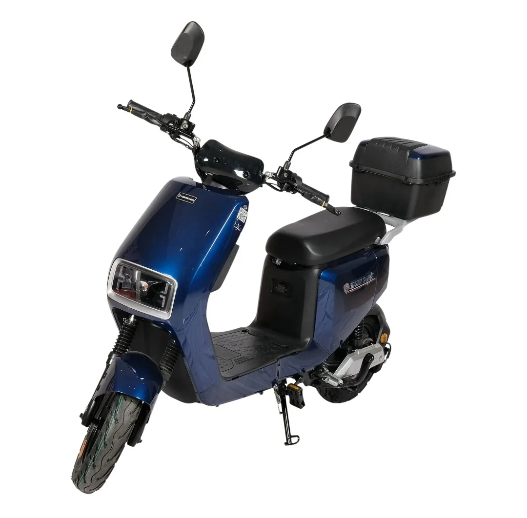 Electric Scooter City Bike with storage box and Paddle