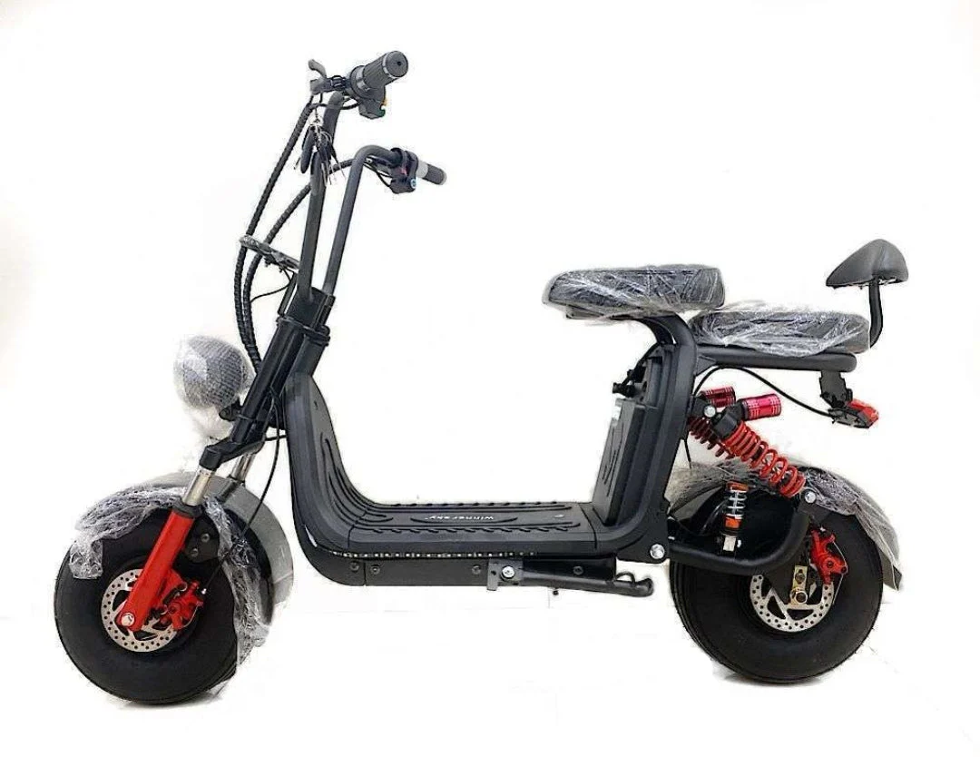 City Coco Mini Harley Winnersky Electric Bike - Image 3