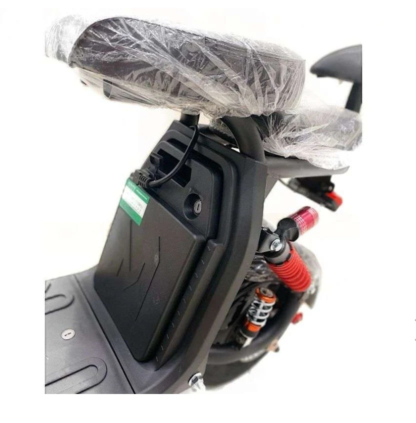 City Coco Mini Harley Winnersky Electric Bike - Image 4