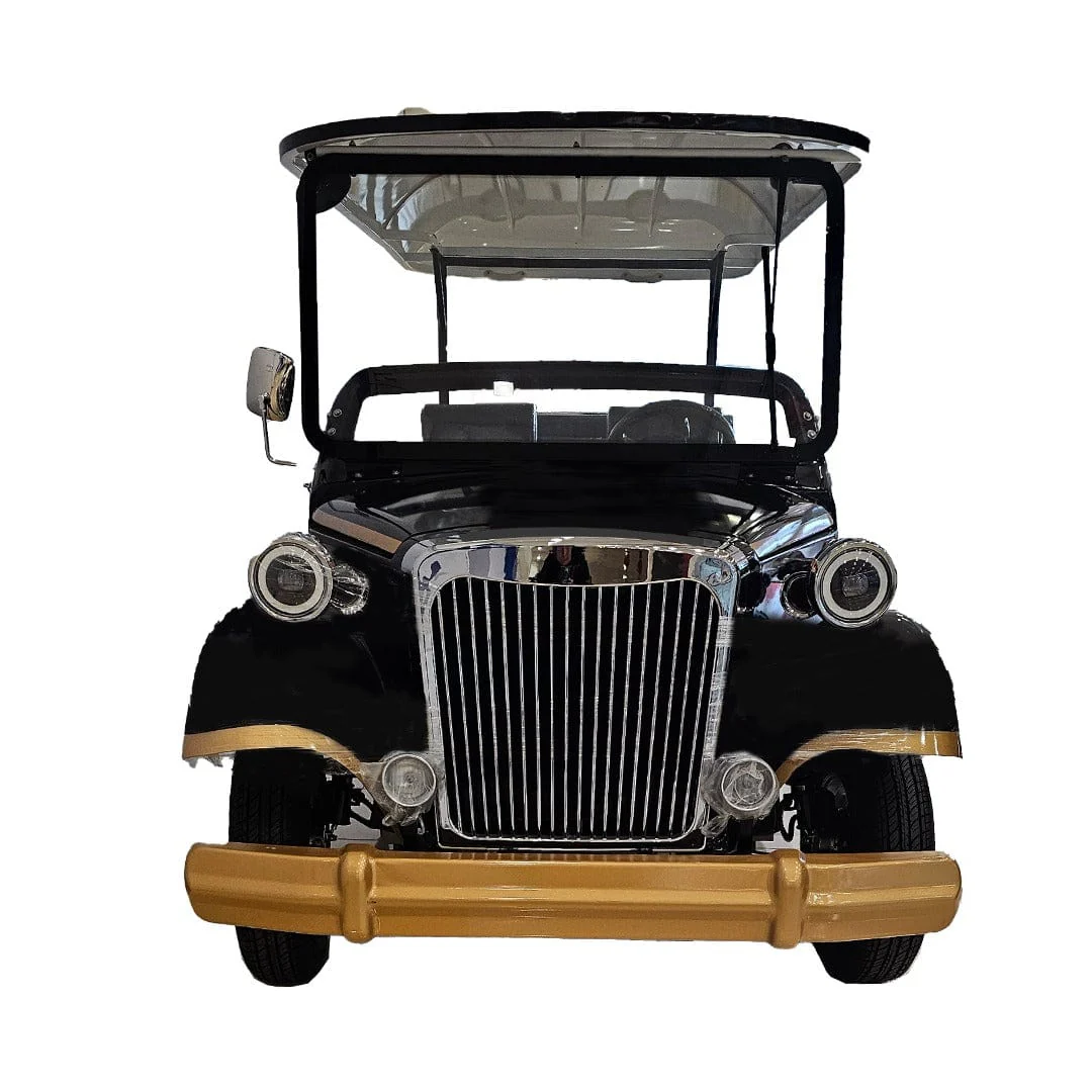Vintage Royal Classic Golf Cart -6 Seater Electric - Image 17
