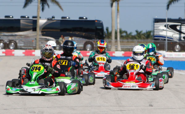 Commercial Electric Go Karts for Adults Entertainment for Racing Track Kart - Image 7