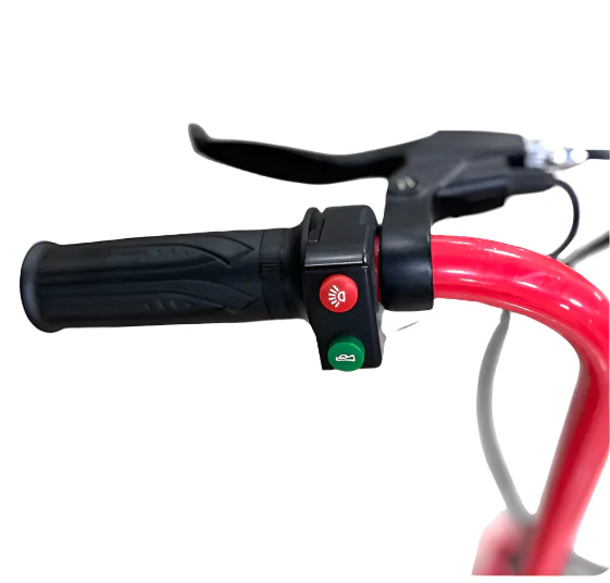Mini Harley Double Seat Electric Scooter 350W 36V 8Ah - Image 4
