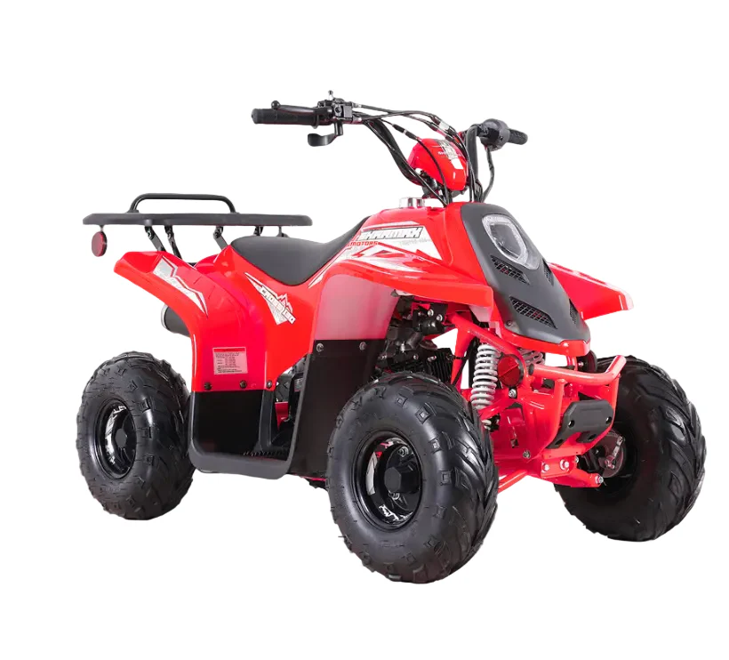 Cross 130 Starter ATV Teens Age 10+