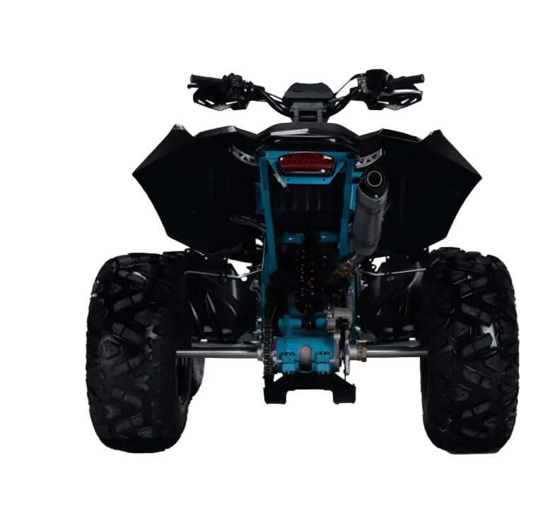 Cruiser Race 350 GX – Pure Power, Control & Off-Road Domination - Image 5