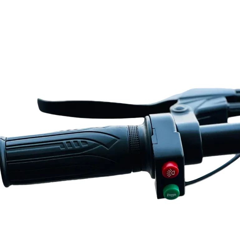 New City Electric Bicycle With Removable Battery 36V 10Ah 250W - Image 5