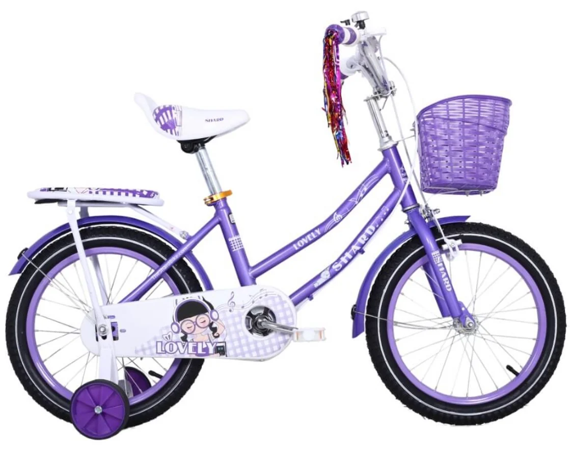 Cute Kid Girls Bicycle With Training Wheels Age 2-10 - Image 3
