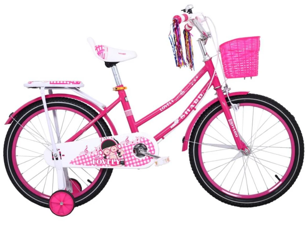 Cute Kid Girls Bicycle With Training Wheels Age 2-10 - Image 4