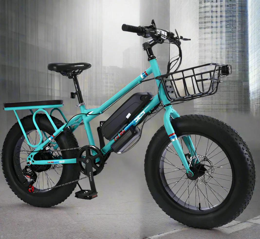 Desert riding Electric Bike with 22inch Fat Tyre