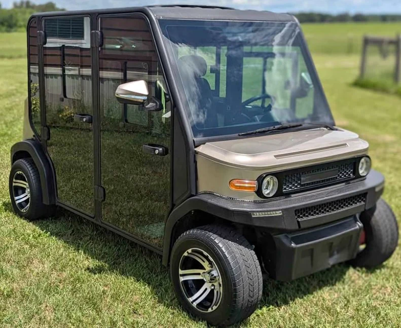 Electric Ac Golf Cart Buggy -2,4 seater - Image 4