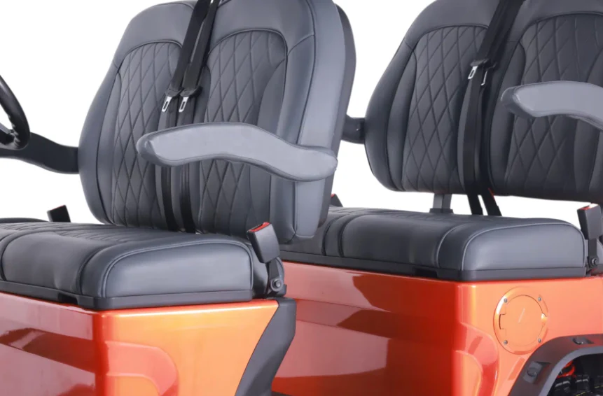 Luxury Electric Golf Buggy pro version - 04 Seater - Image 16