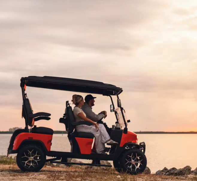 Luxury Electric Golf Buggy pro version - 04 Seater - Image 8
