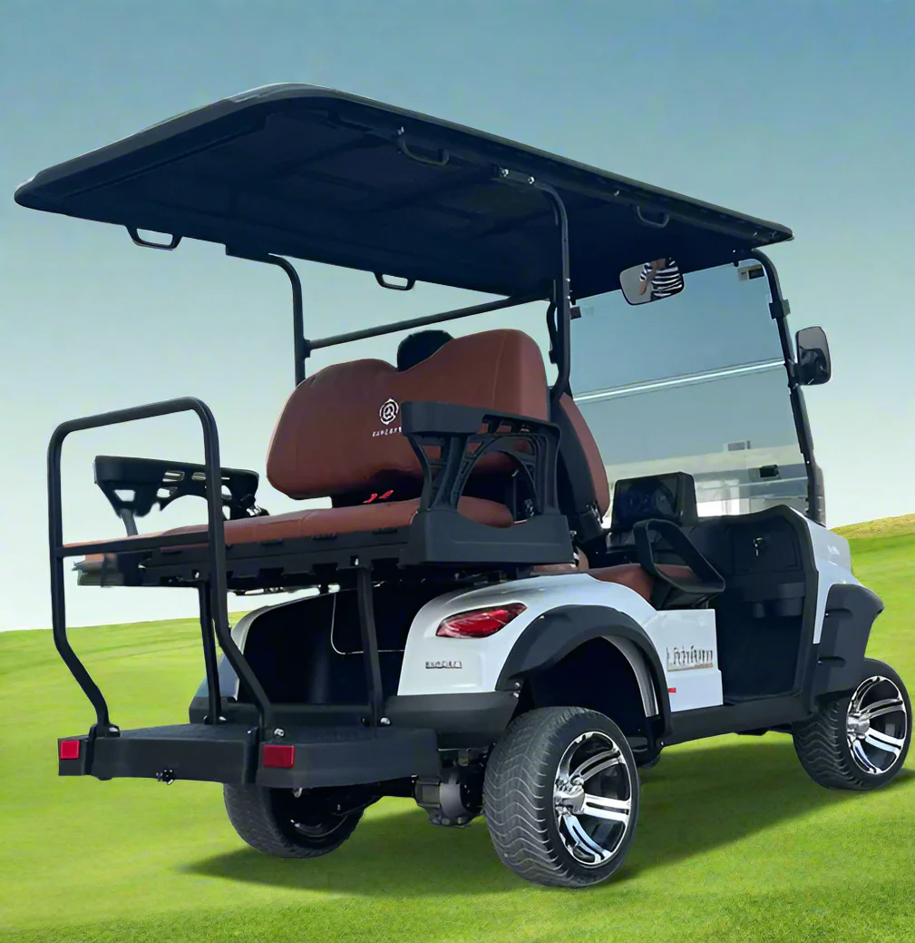 Electric Golf Cart TXV 2+2 Seater - Image 2