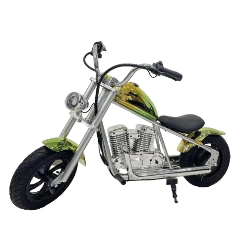 Electric Motor cycle Hyper Go Go 12 Plus