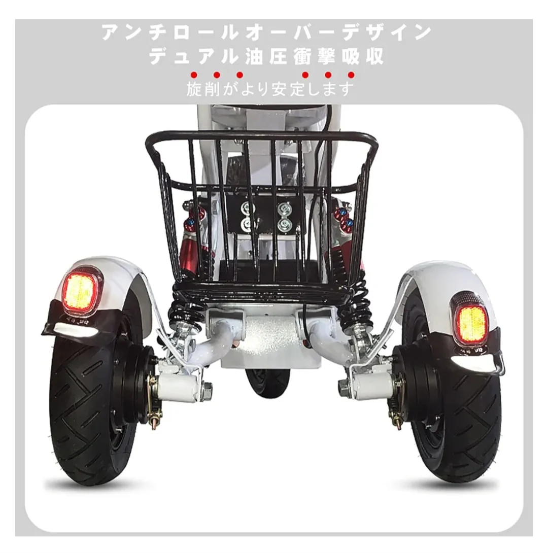 Electric Tricycle For Young and Adults - Image 9