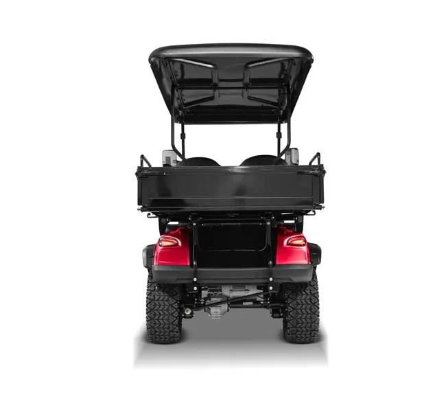 Elite Cruiser Utility 2-Seater with Cargo Box - Image 11