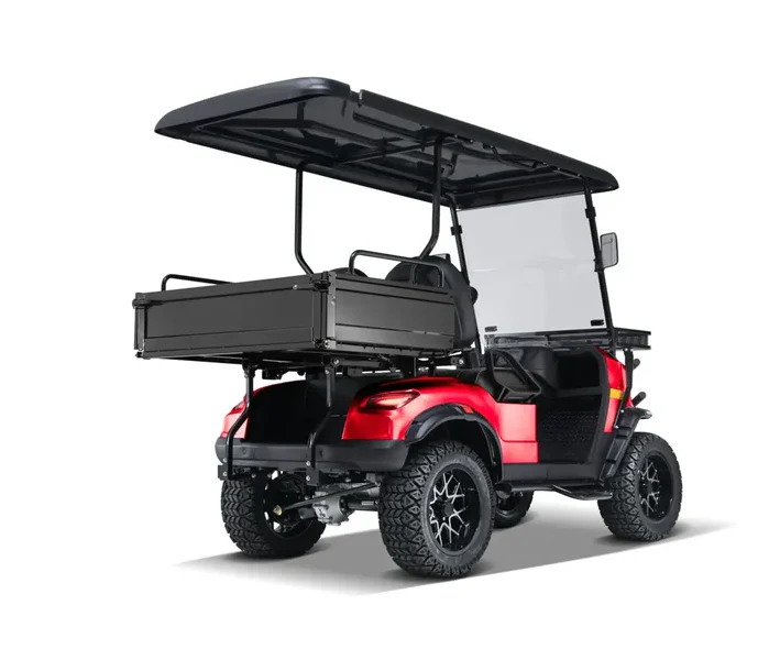 Elite Cruiser Utility 2-Seater with Cargo Box - Image 12