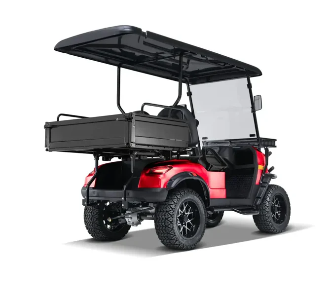 Elite Cruiser Utility 2-Seater with Cargo Box - Image 7