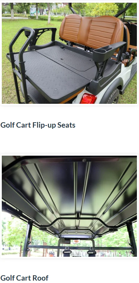 EV Golf Hunting Adventure car with Off Road Tyres Leather seats - Image 8