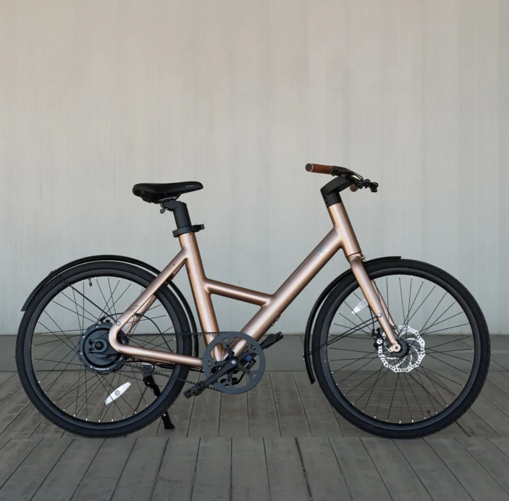 eXXite Next Step Electric BICYCLE Vintage 36V 14Ah - Image 3