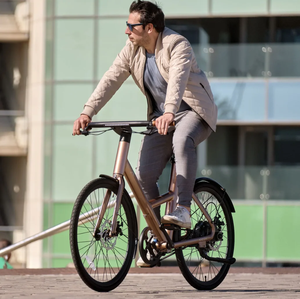 eXXite Next Step Electric BICYCLE Vintage 36V 14Ah - Image 4