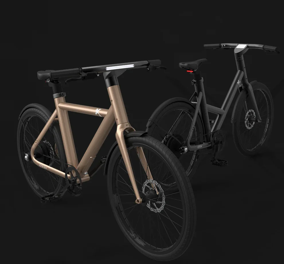 eXXite Next Step Electric BICYCLE Vintage 36V 14Ah - Image 9