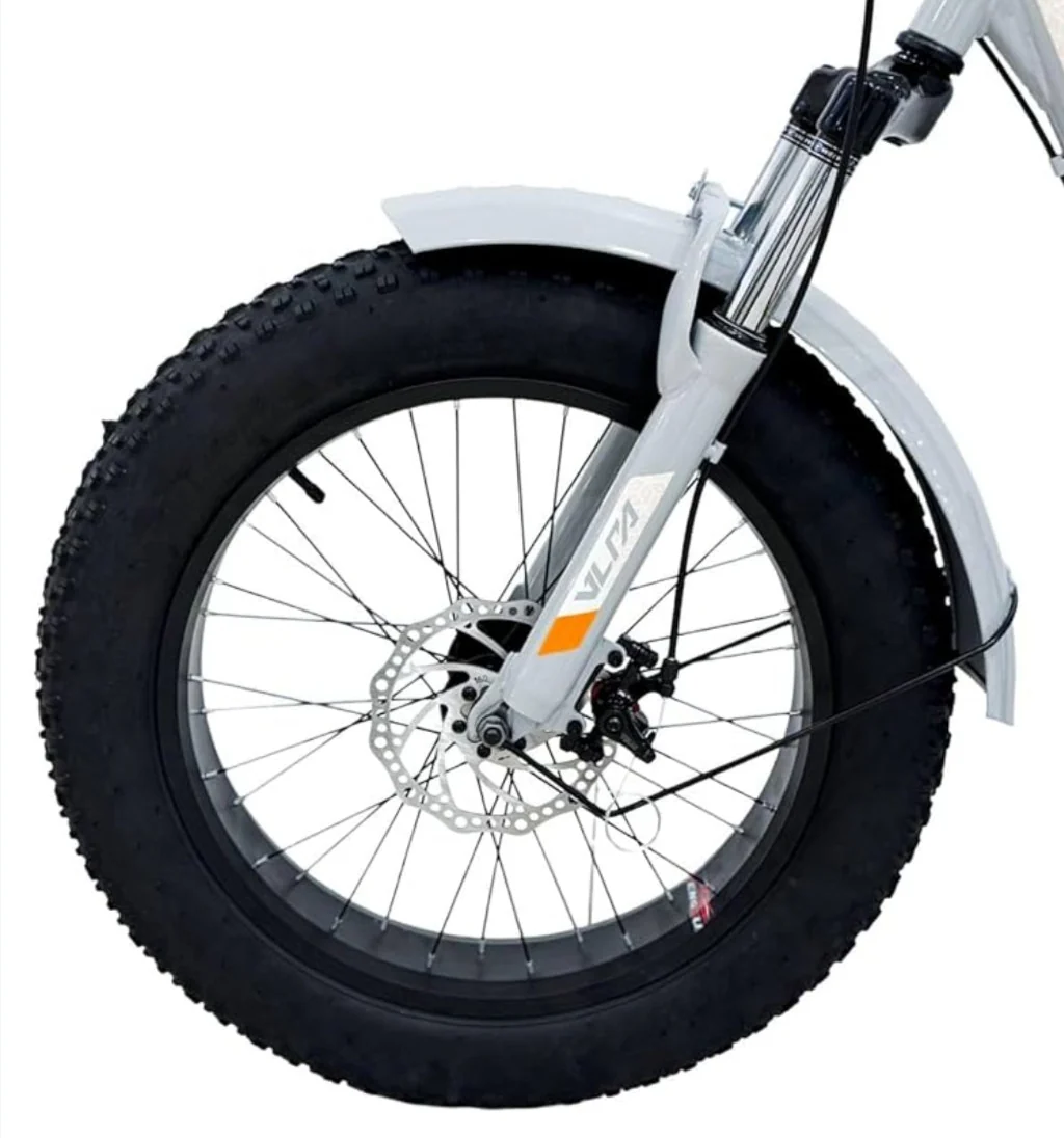 Fat Tire City Tricycle - Image 10