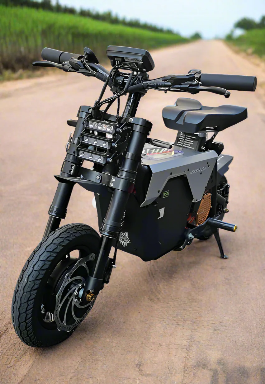 Fiido Muddy Fox Electric Bike 2025 New Model - Image 2