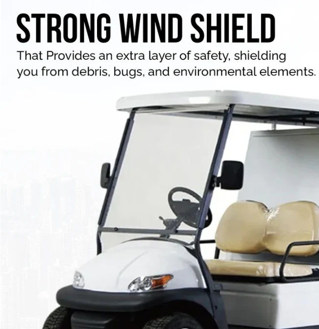 Food Box Electric Golf Cart 2-Seater Buggy - Image 5