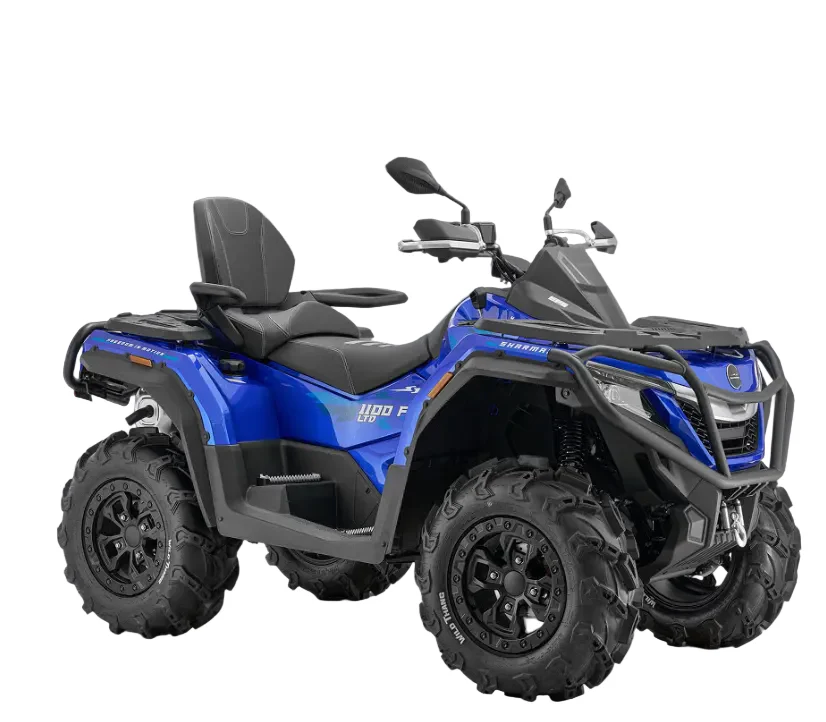 Force 1100 EFI EPS - Image 2