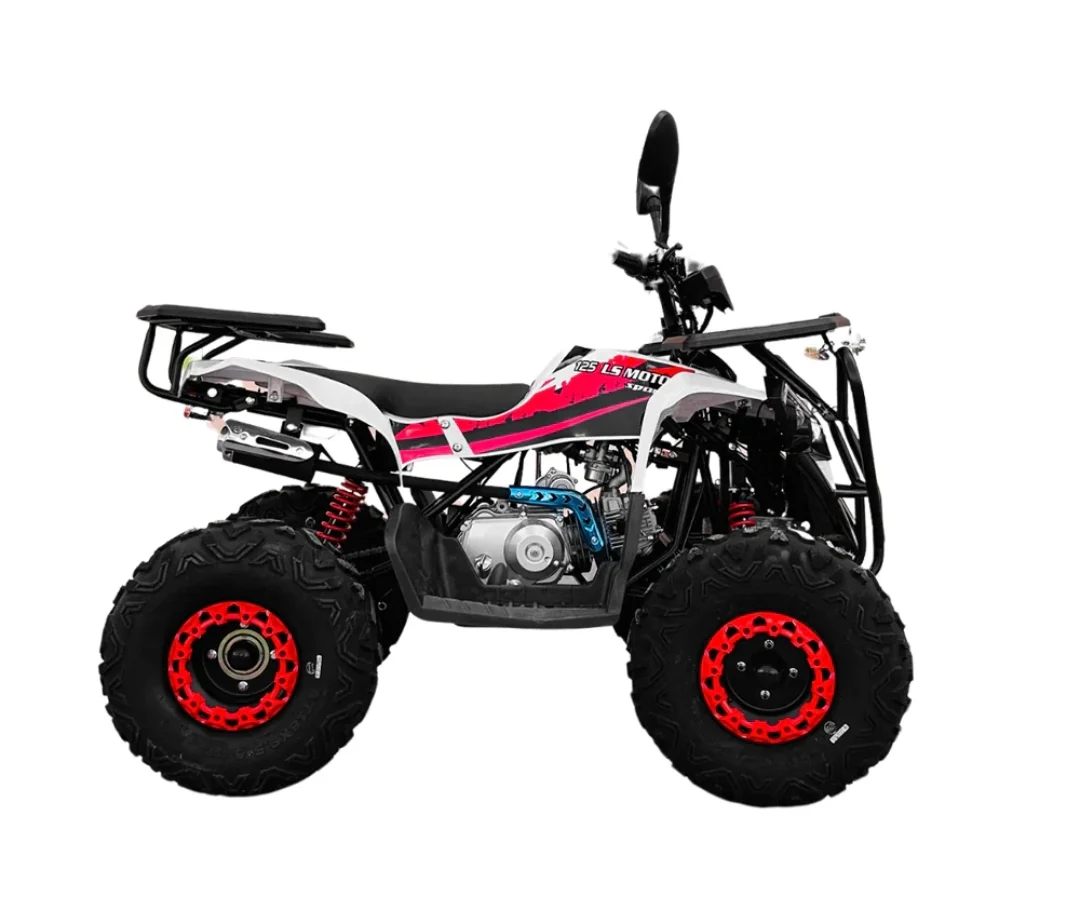 Full Automatic Off Road Atv With Riverse Gear 125cc Gas powered - Image 3