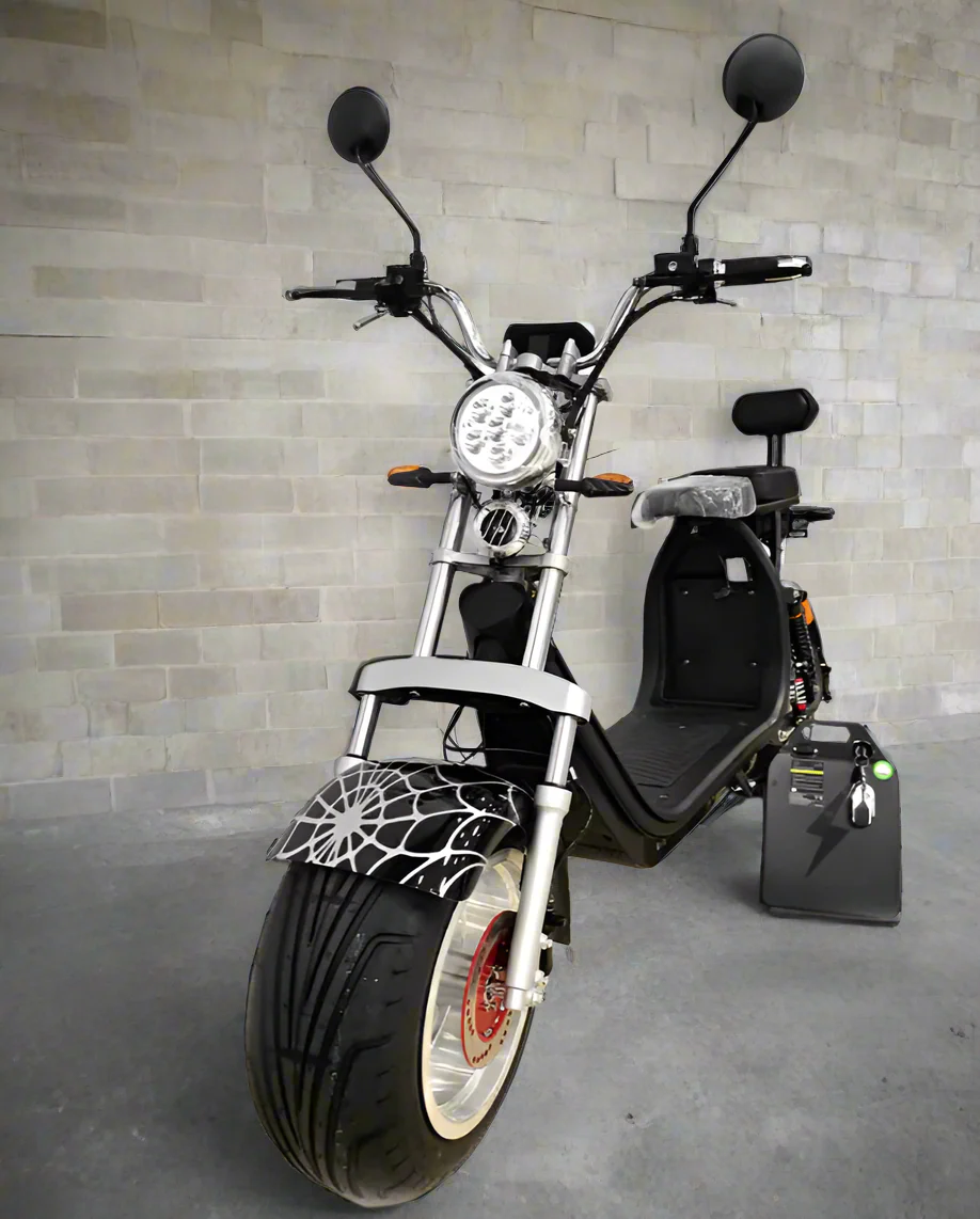 G-028 E Bike Harley Dual battery 1500W 60V 24Ah - Image 9