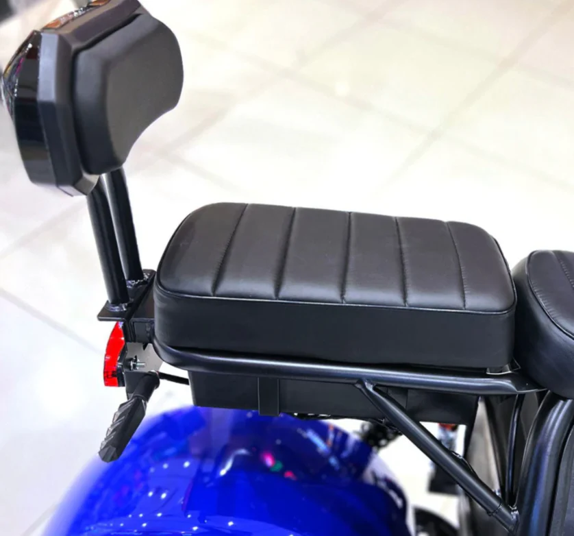 G 029 3000W E bike Harley 60V 24Ah - Image 10