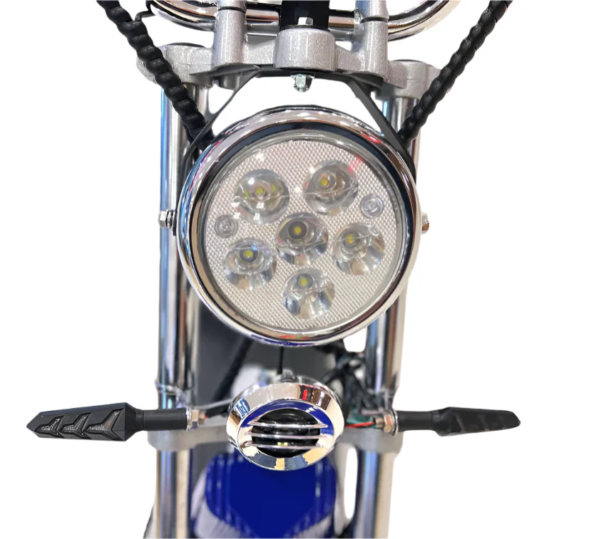 G 029 3000W E bike Harley 60V 24Ah - Image 3