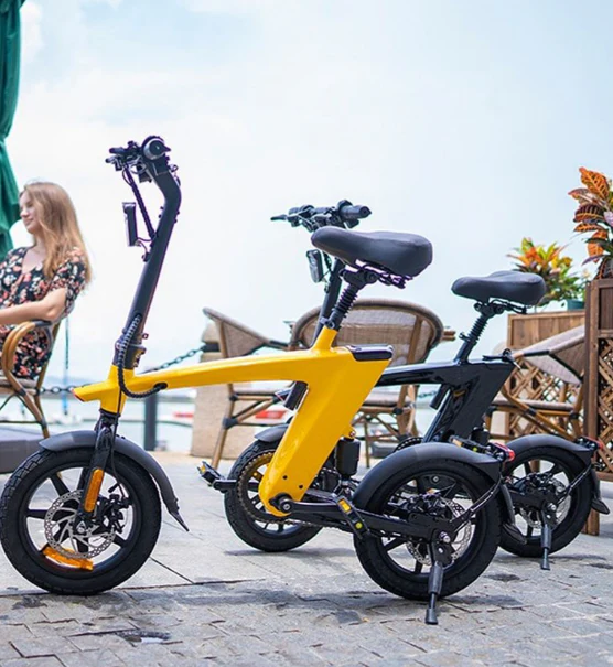 Harley Fitness E-Bike H1 - Image 3