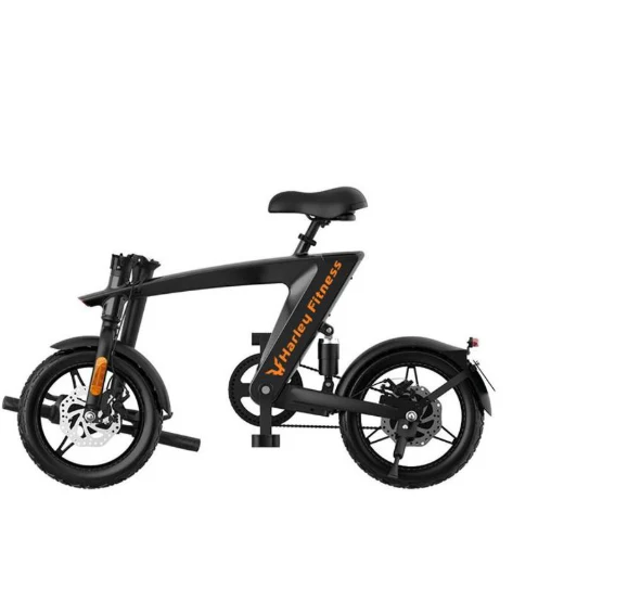 Harley Fitness E-Bike H1 - Image 4