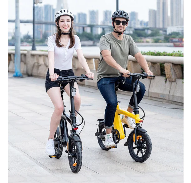 Harley Fitness E-Bike H1 - Image 6