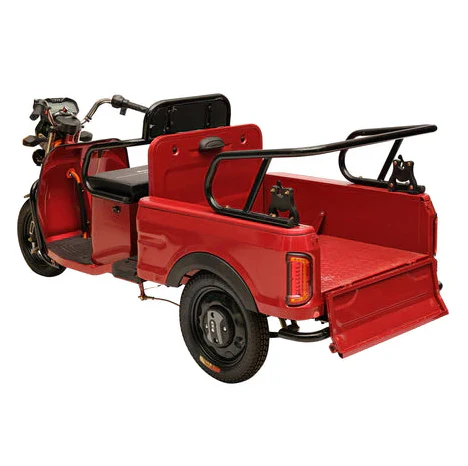 Heavy Duty Electric Big Truck -Three wheeler - Image 3